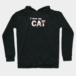 I love my cat - siamese oil painting word art Hoodie